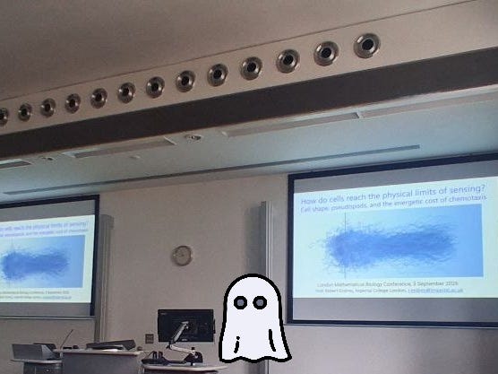 A phot from the London Mathematical Biology Conference, photoshopped to have a ghost in it.