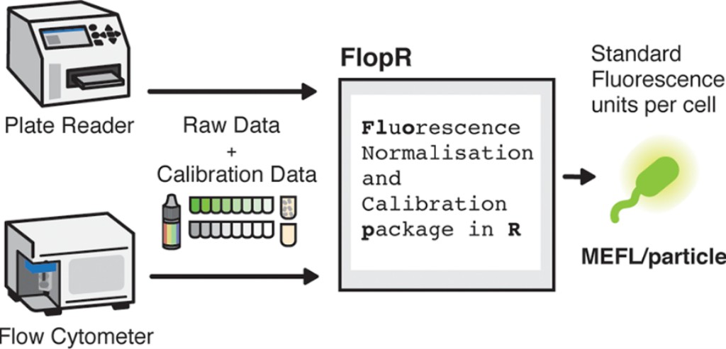 Schematic of a computational method for standardisation
											of fluorescence measurements.